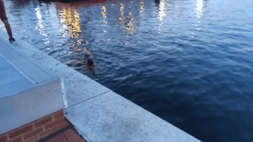 Chicago Teens Jump Into Baltimore Harbor