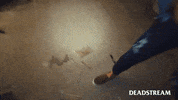 Best Friend Smile GIF by Deadstream