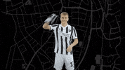 Svs1916 GIF by SV Sandhausen
