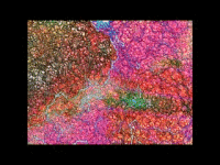 MarkWBallard animation gif 3d abstract GIF