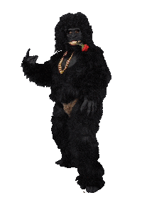 Rose Love Sticker by GIPHY Studios 2022