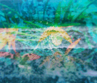 glitch feels GIF