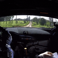 Dashcam Driving GIF by FIA World Rally Championship