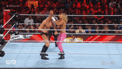 Wwe Wrestling GIF by USA Network