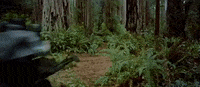 return of the jedi episode 6 GIF by Star Wars