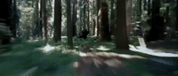 return of the jedi episode 6 GIF by Star Wars