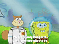 season 4 episode 10 GIF by SpongeBob SquarePants