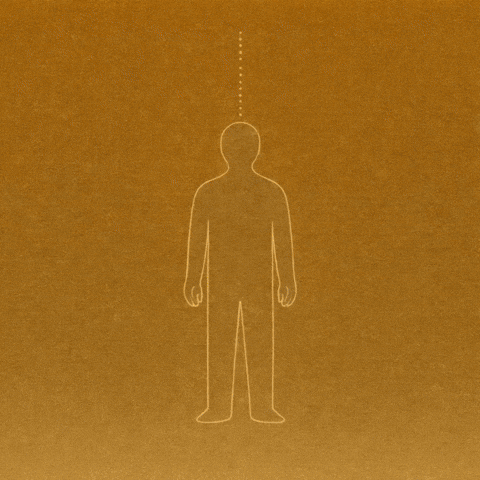 World Trickle Down GIF by WeQuorum