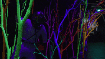 meowwolf meow wolf meowwolf meow wolf santa fe house of eternal return GIF