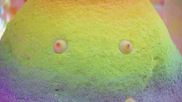 meowwolf meow wolf meowwolf meow wolf santa fe house of eternal return GIF