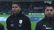 clubsantos  GIF