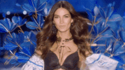 vsfs 2017 GIF by Victoria's Secret Fashion Show