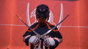 Uvamenslax GIF by Virginia Athletics