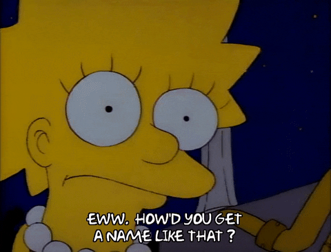 Season 1 Episode 6 GIF by The Simpsons