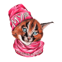 Cat Котенок Sticker by VIPLEO® is the cattery founder of legal caracats.