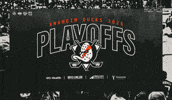 Playoffs GIF by Anaheim Ducks