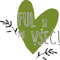 Heart Love Sticker by Lidl Slovenija