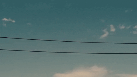GIF by Idiocracy - Find & Share on GIPHY