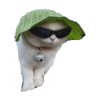 sunglasses STICKER by imoji