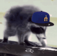 Seattle Mariners GIF by Respective