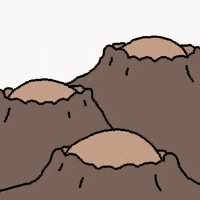 Ttn GIF