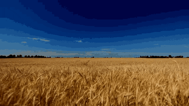 genesis_group giphyupload GIF