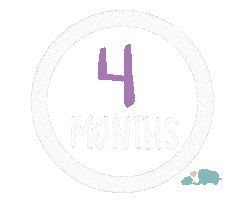 4 Months Milestones Sticker by Baby Nest Designs