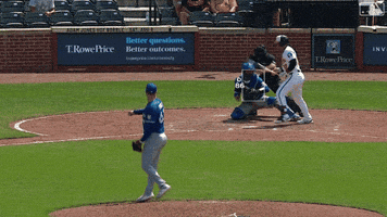 Blue Jays Baseball GIF by Toronto Blue Jays