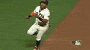 Regular Season Sport GIF by MLB