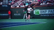 andy murray tennis GIF