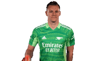 Celebrate Germany Sticker by Arsenal