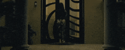 GIF by THEMXXNLIGHT