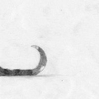 miranda pfeiffer GIF by Miranda Javid