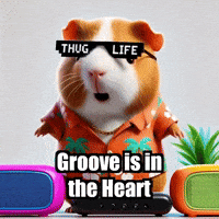 Groove Is In The Heart Musiclover GIF by Guinea Gambino