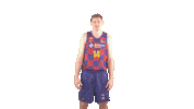 Fc Barcelona Basketball Sticker by ACB