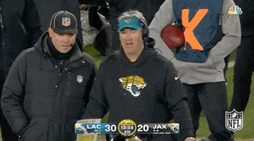 Nfl Playoffs Football GIF by NFL