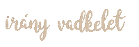 Dh Sticker by Diákhálózat