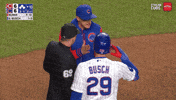 Chicago Cubs Wtf GIF