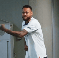 Copa Do Mundo GIF