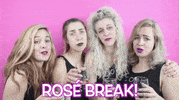 Happy Hour Cheers GIF by Chastity Belt