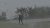 rocking out hardly art GIF by Chastity Belt