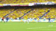 selecao brasileira football GIF by Confederação Brasileira de Futebol