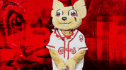 El Paso Reaction GIF by El Paso Chihuahuas