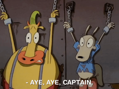 rockos modern life nicksplat GIF