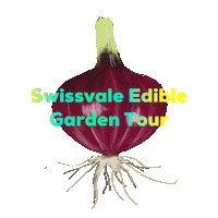 Swissvale Sticker by Group Against Smog and Pollution