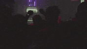 Concert Venue GIF by Meow Wolf