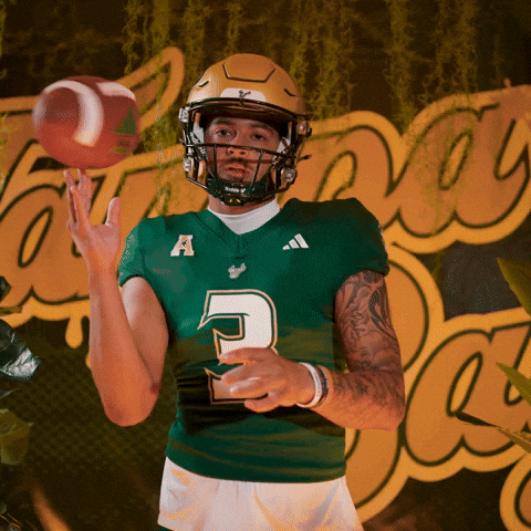 College Football GIF by USF Athletics
