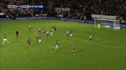 GIF by FOX Sports