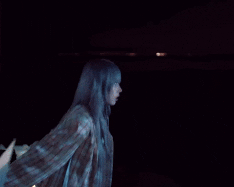 Kite GIF