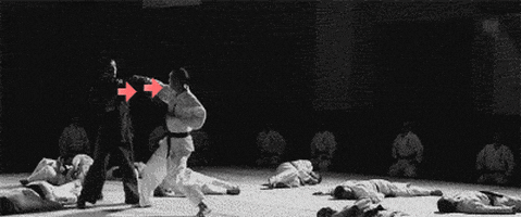 everyone fu GIF
